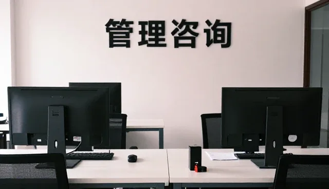 财税咨询在商务场景中的适配性与实践